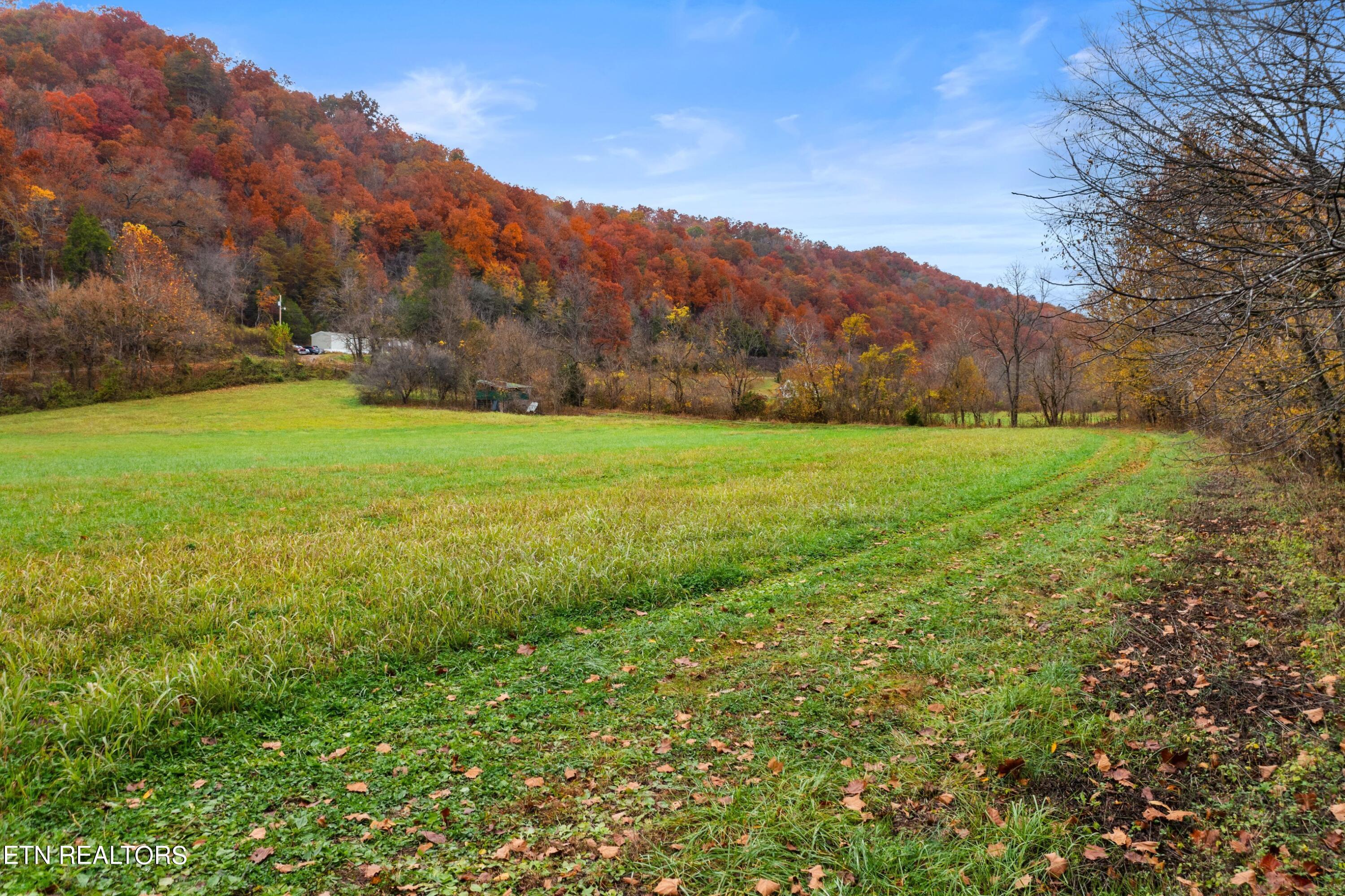 1650 Indian Creek Rd Property Photo 43