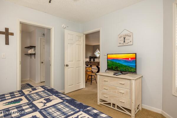 1386 Ski View Drive Property Photo 10
