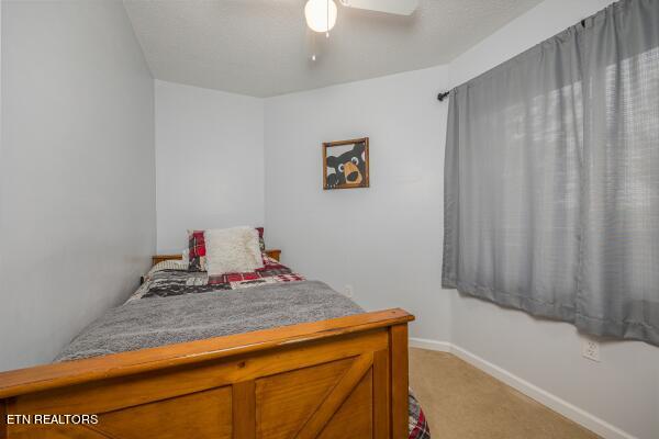 1386 Ski View Drive Property Photo 12
