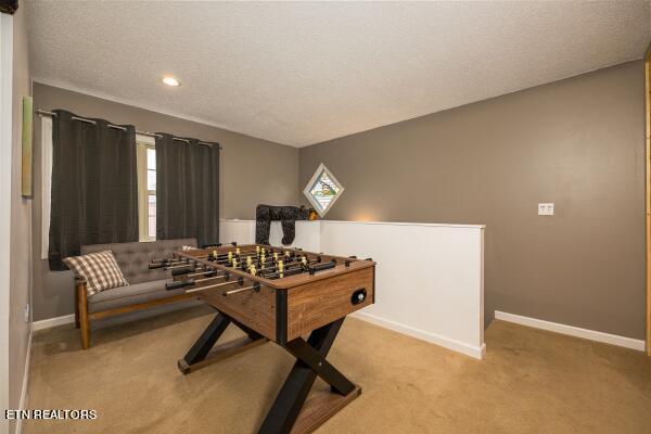 1386 Ski View Drive Property Photo 13