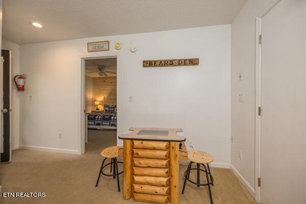 1386 Ski View Drive Property Photo 14