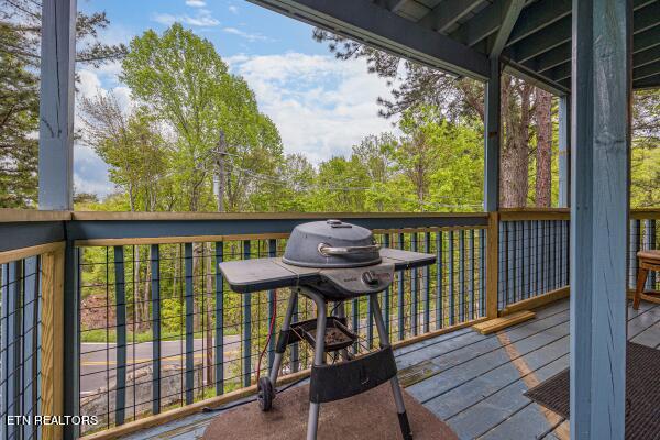 1386 Ski View Drive Property Photo 17