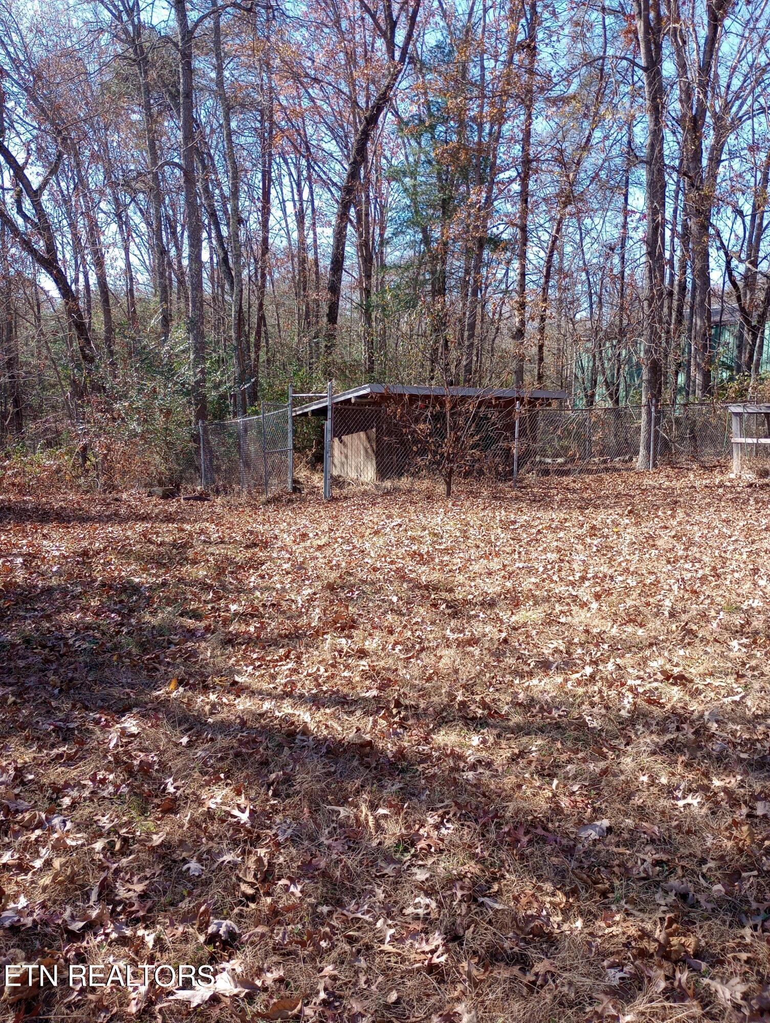 6766 Highway 70 Property Photo 6