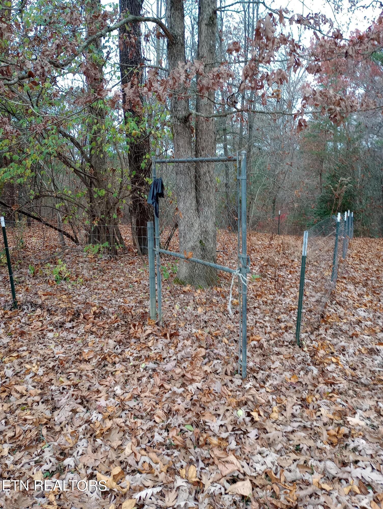 6766 Highway 70 Property Photo 7
