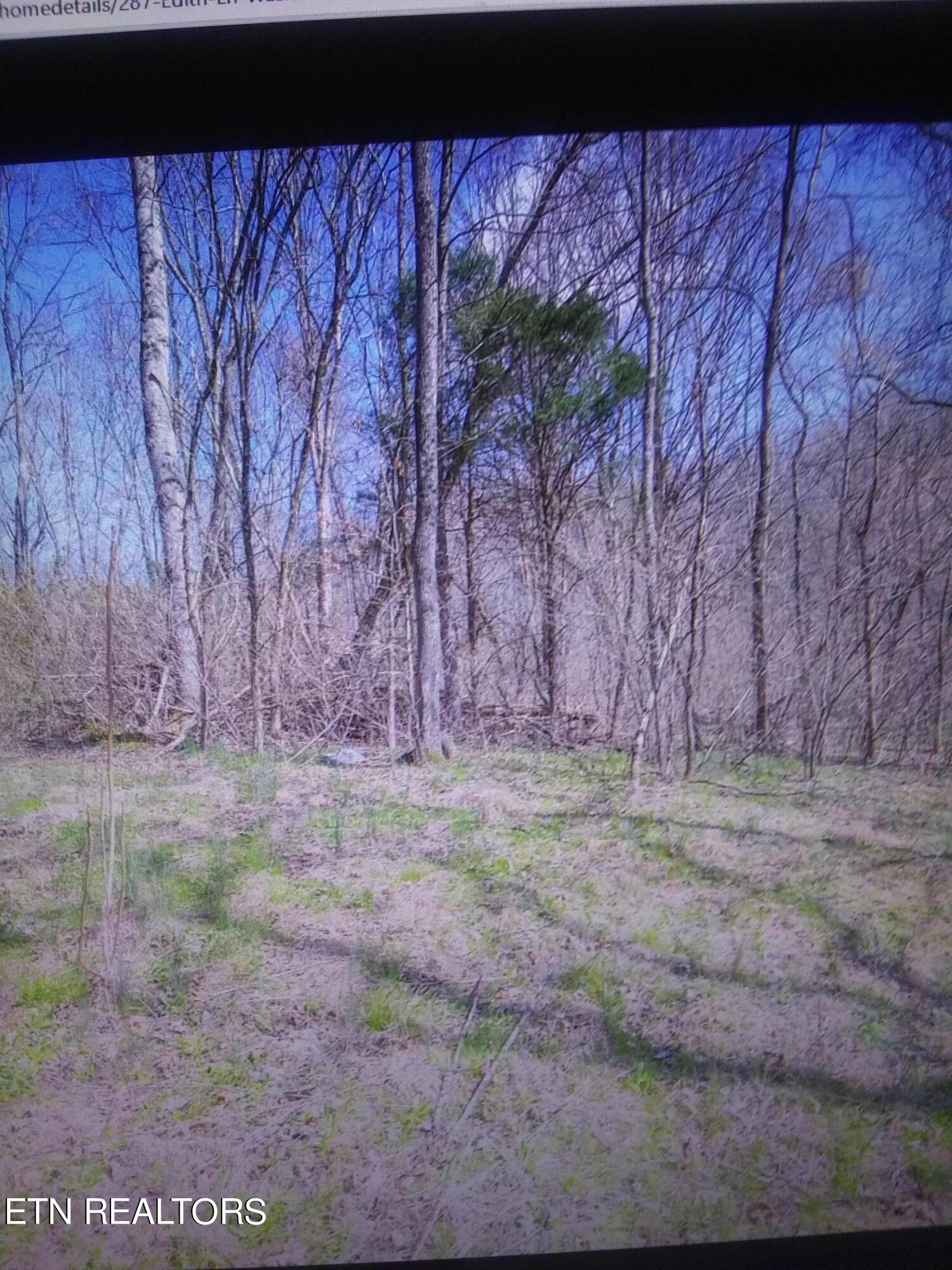 287 Edith Lane Property Photo 1