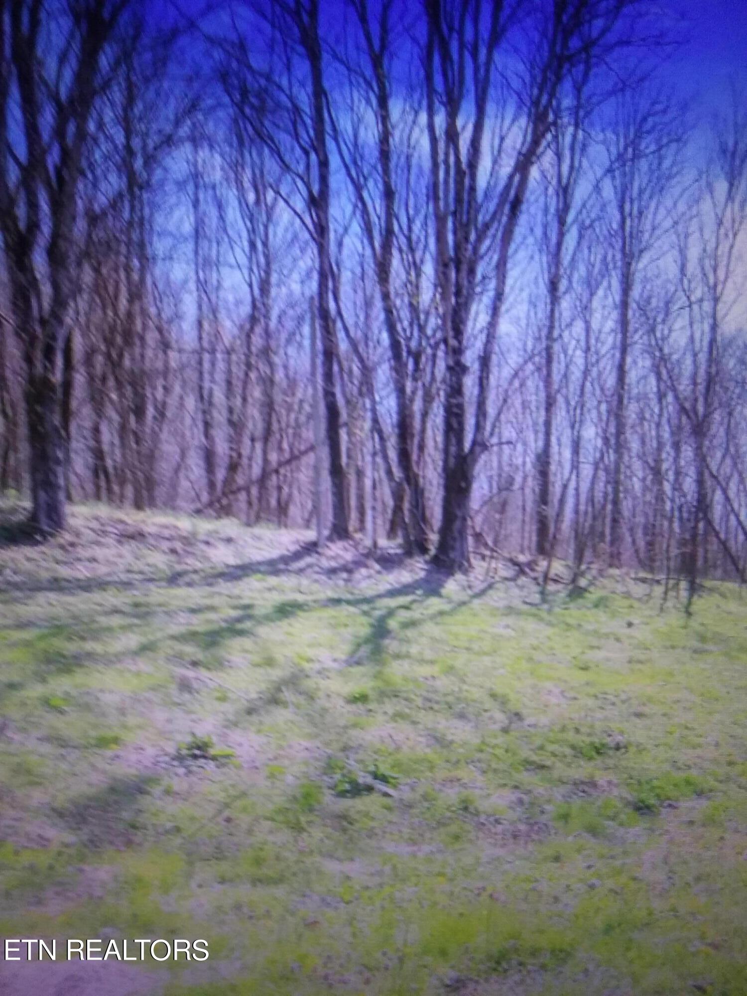 287 Edith Lane Property Photo 8