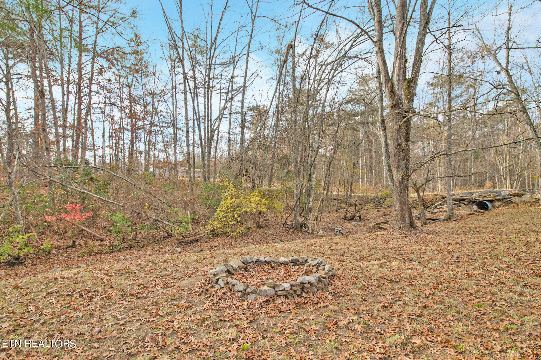 1009 Sitting Bull Point Property Photo 10
