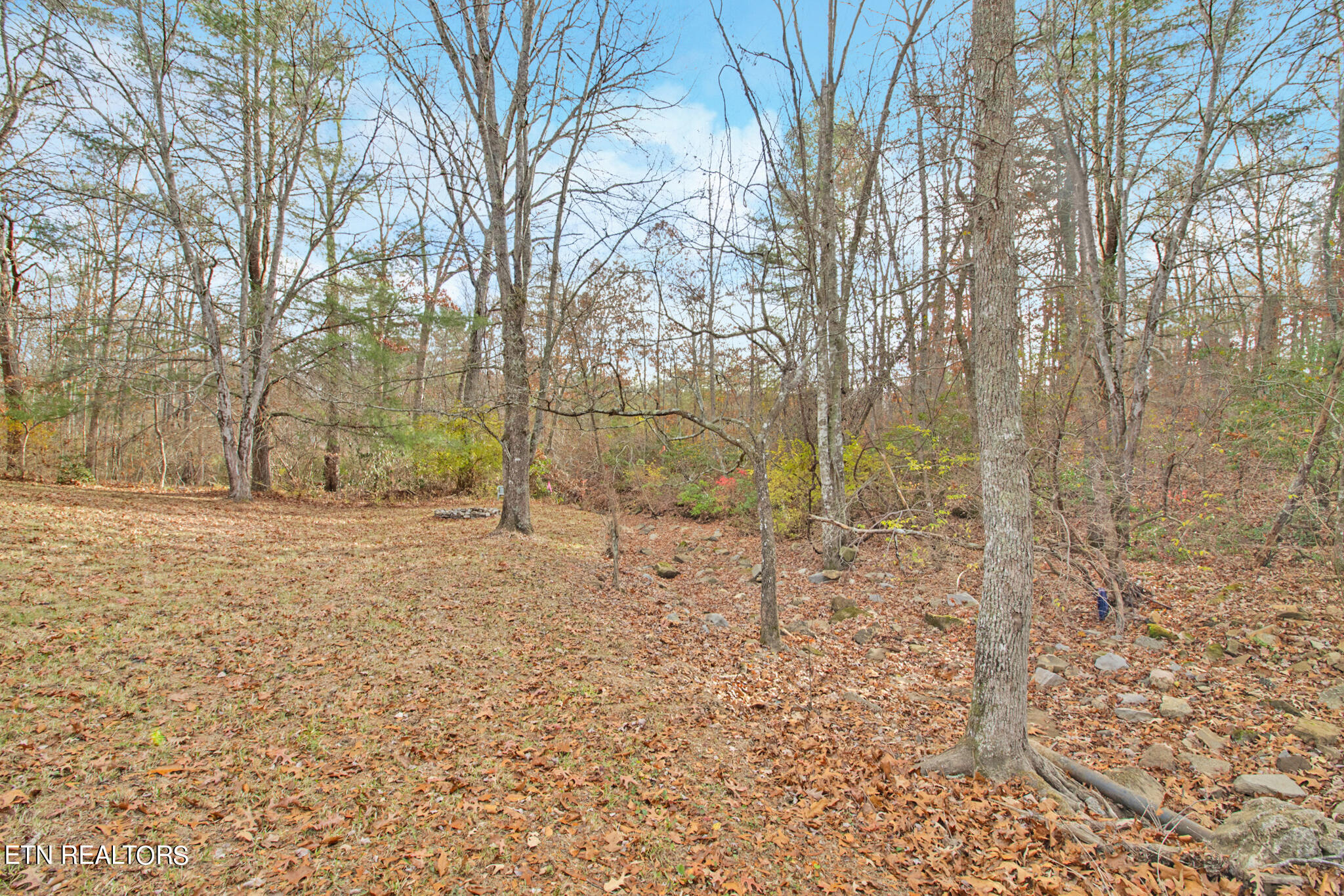 1009 Sitting Bull Point Property Photo 12