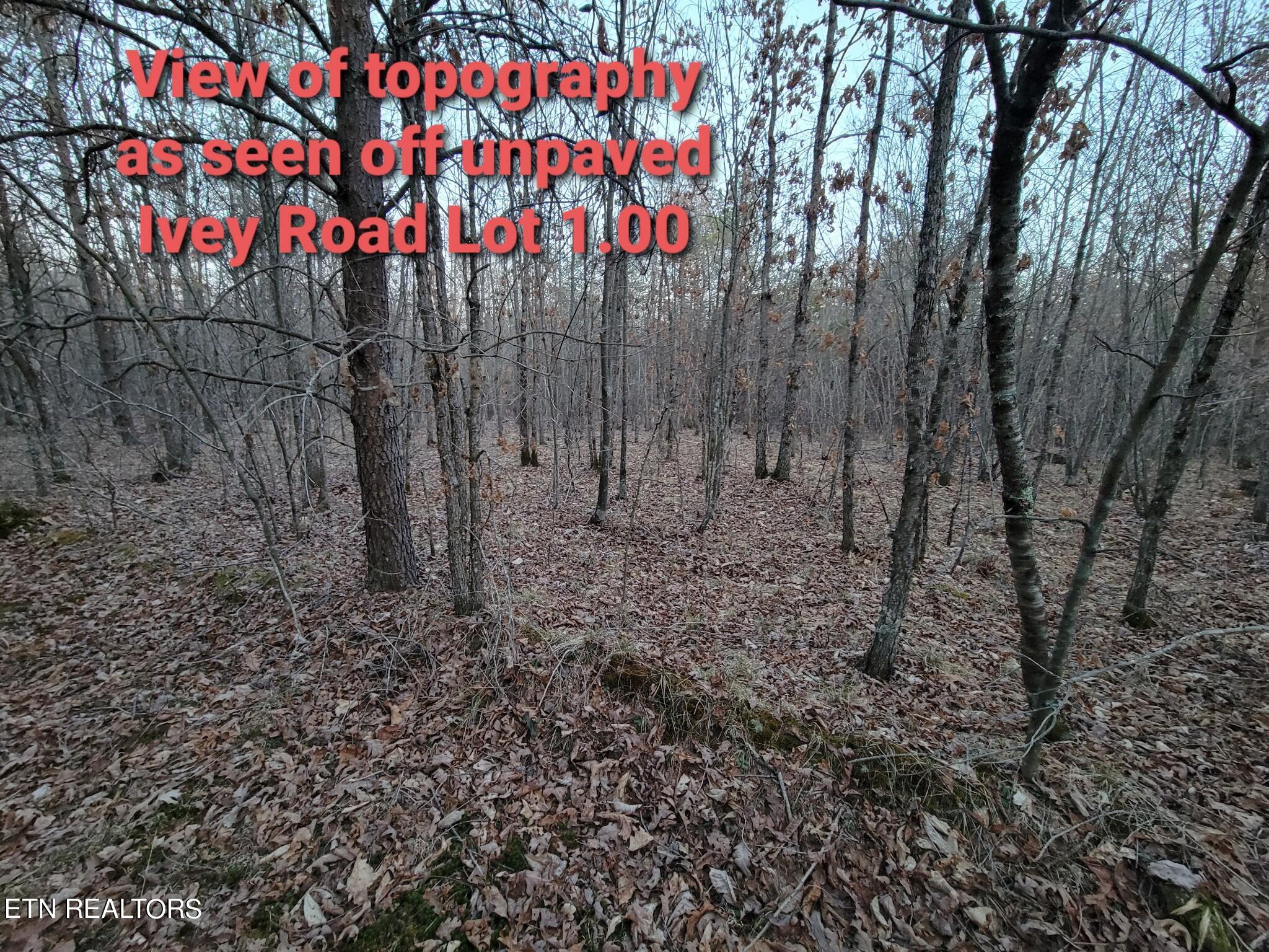 N Main St Property Photo 19