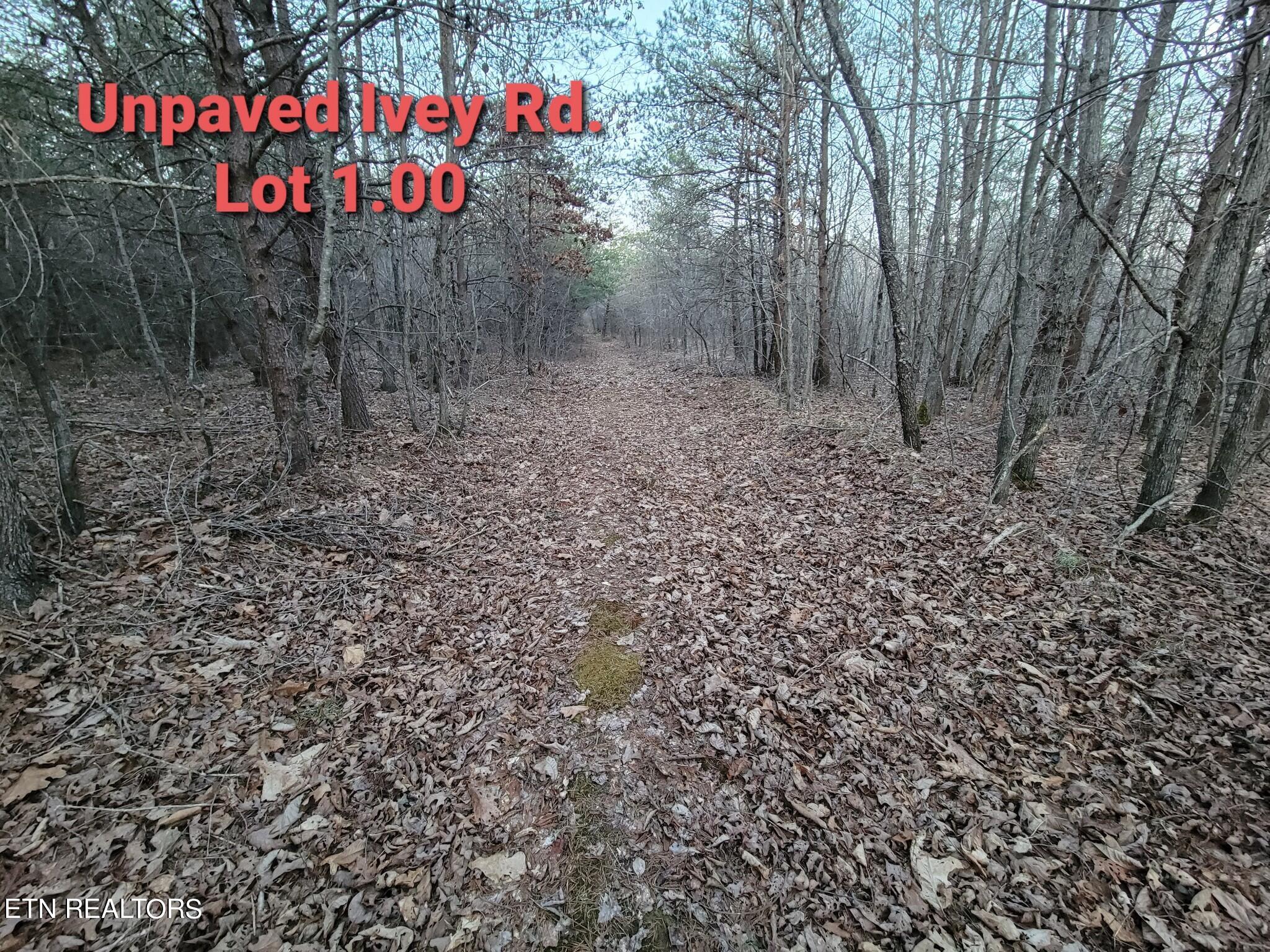 N Main St Property Photo 20