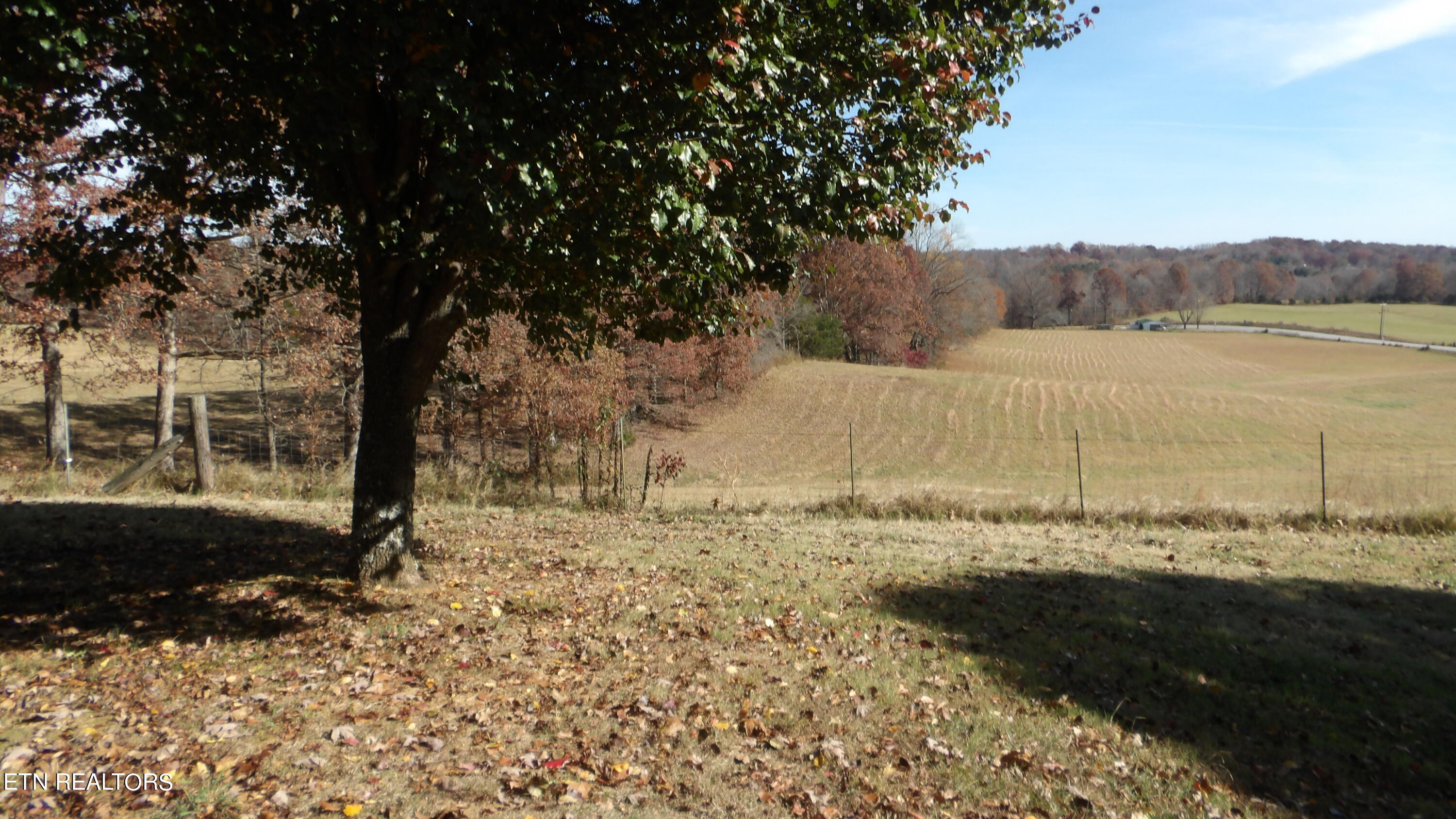 3911 York Highway Property Photo 47