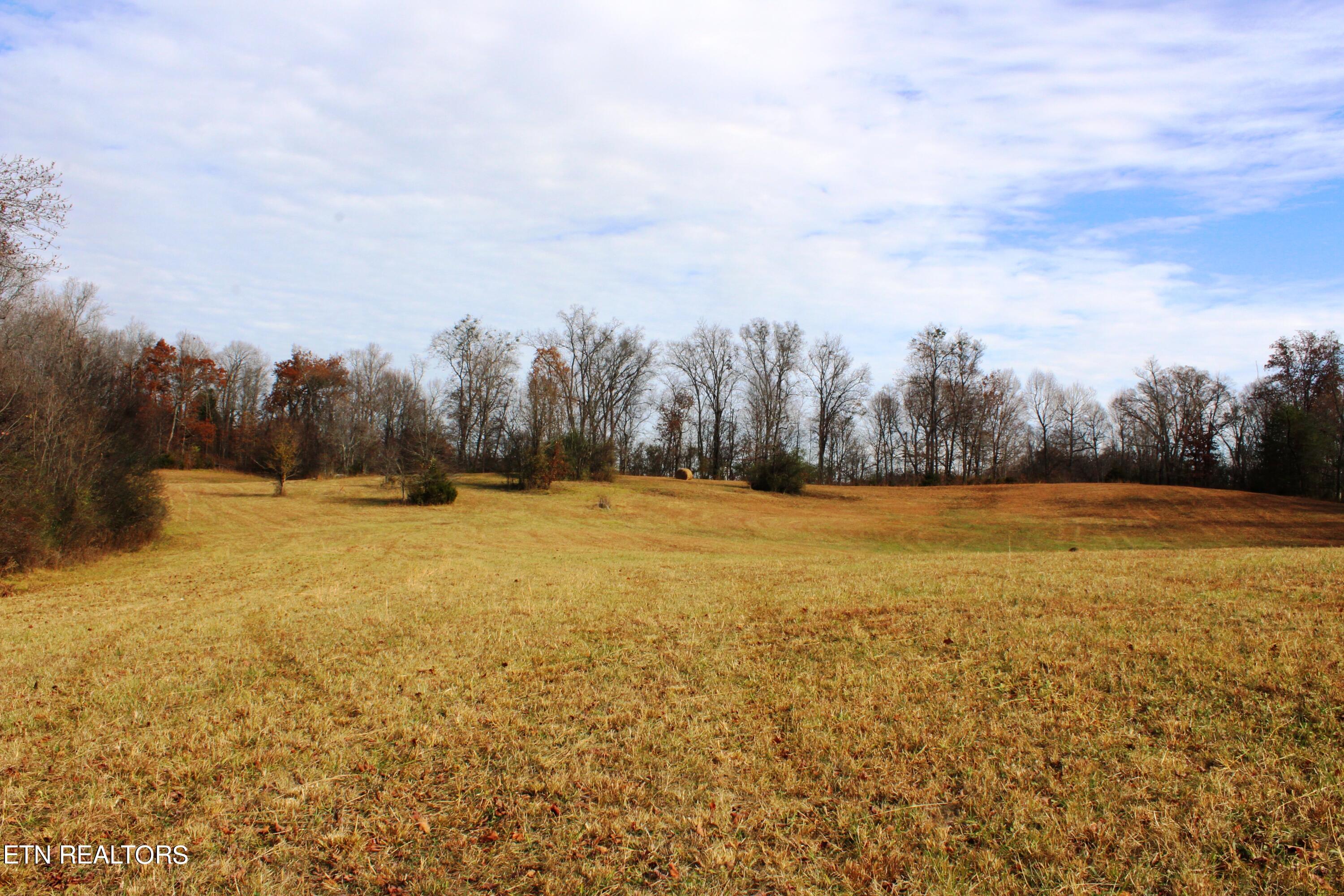 Wayne Bryant Rd Property Photo 4