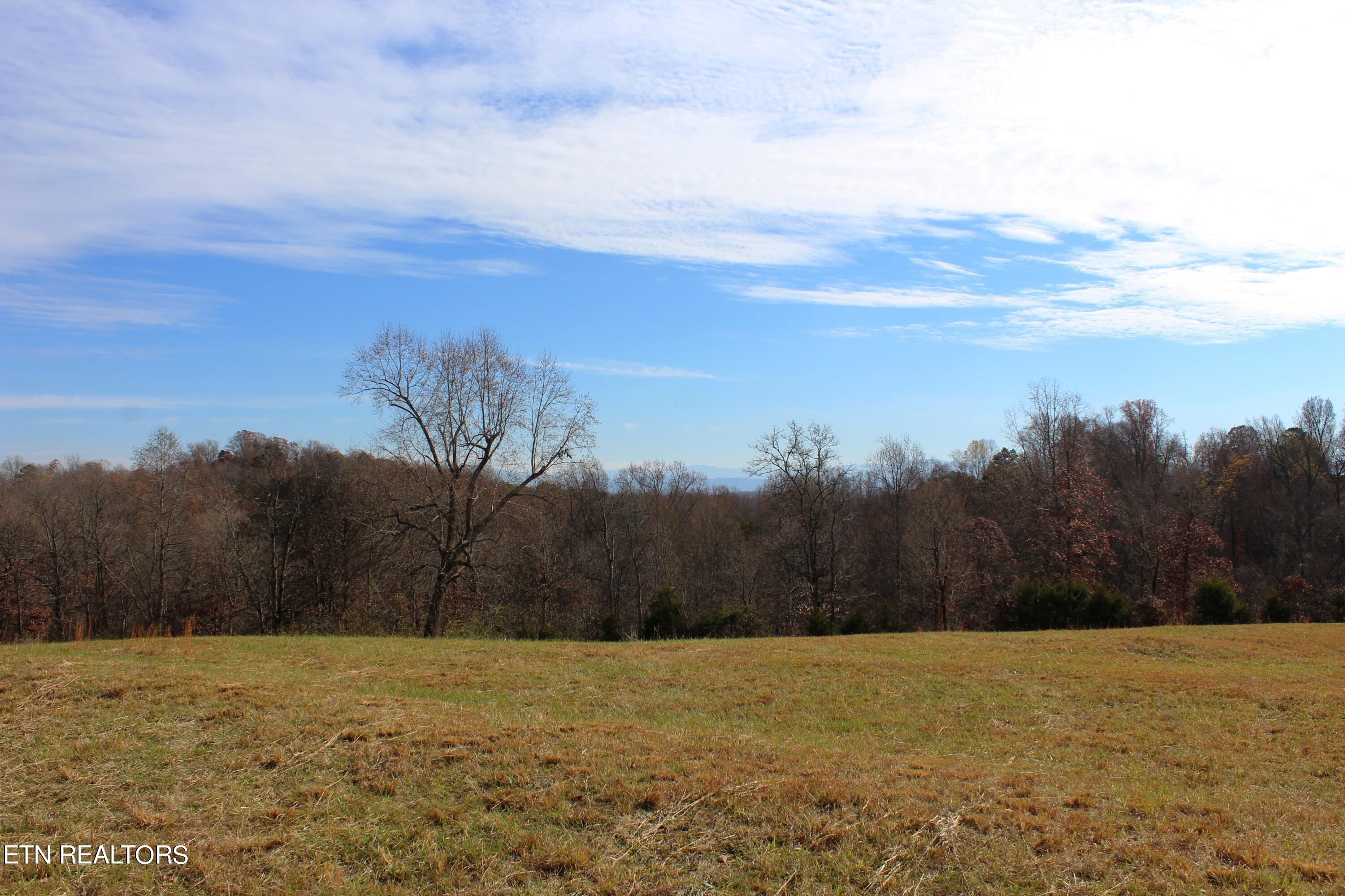 Wayne Bryant Rd Property Photo 10