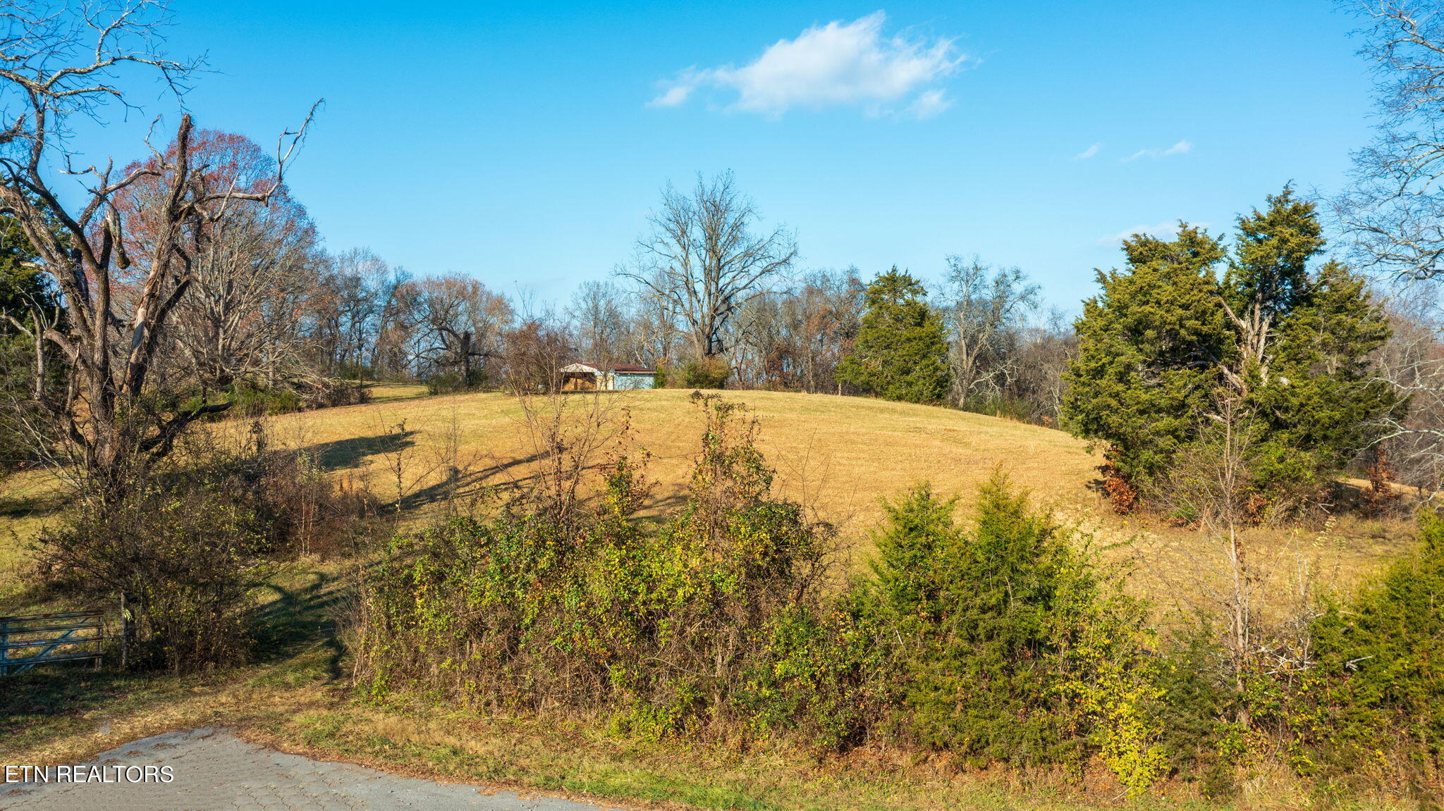 Wayne Bryant Rd Property Photo 26
