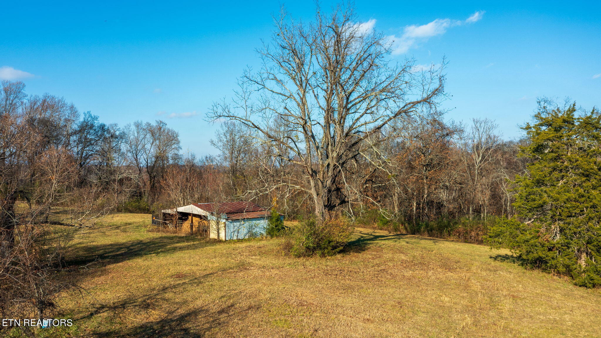 Wayne Bryant Rd Property Photo 28