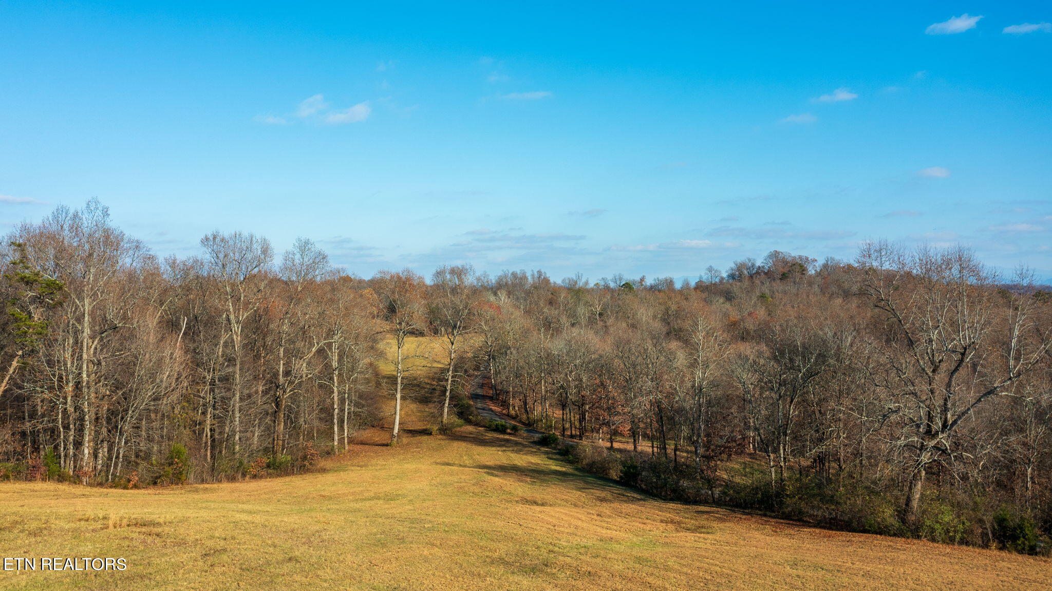 Wayne Bryant Rd Property Photo 29