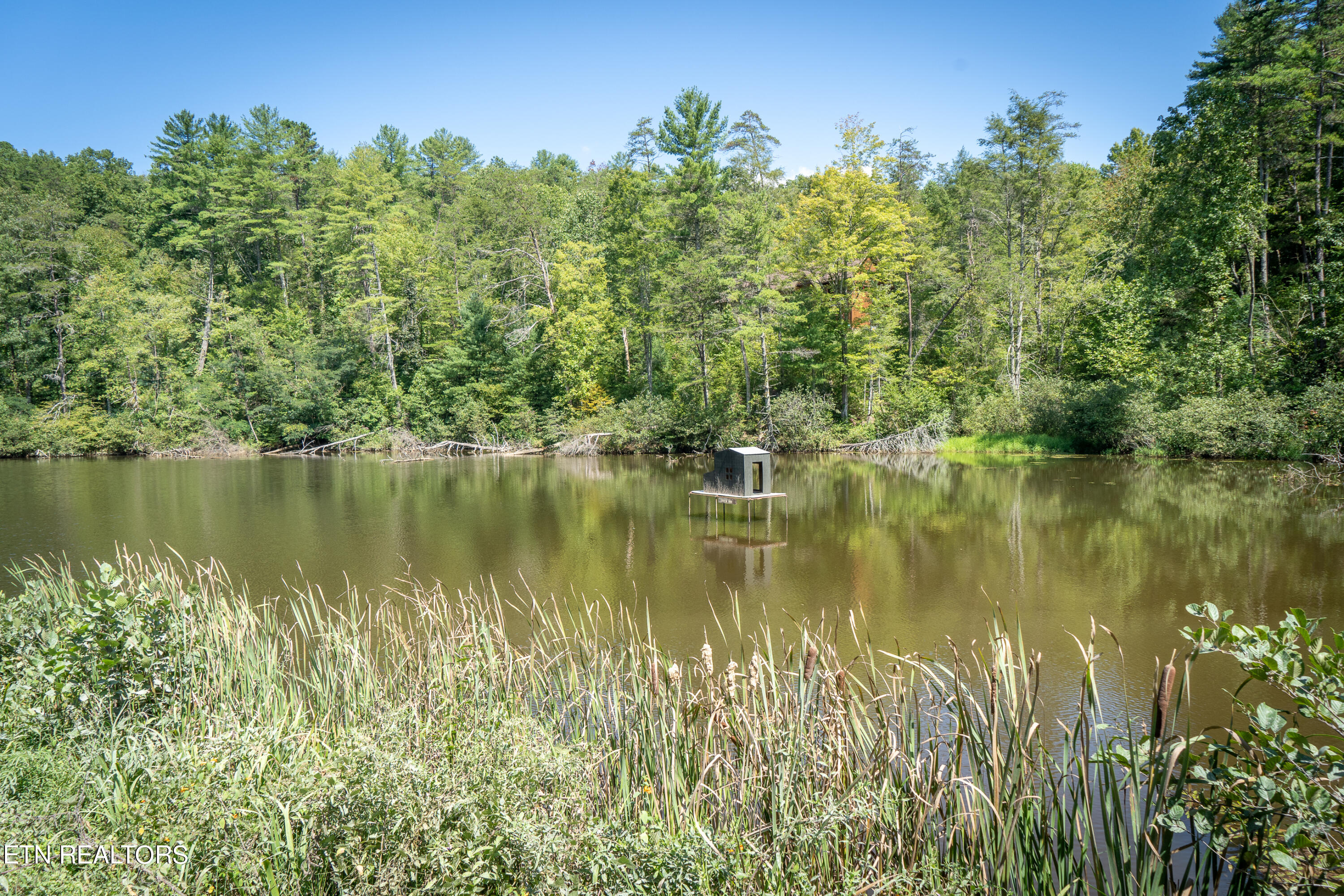 1801 Grouse Top Rd Property Photo 47