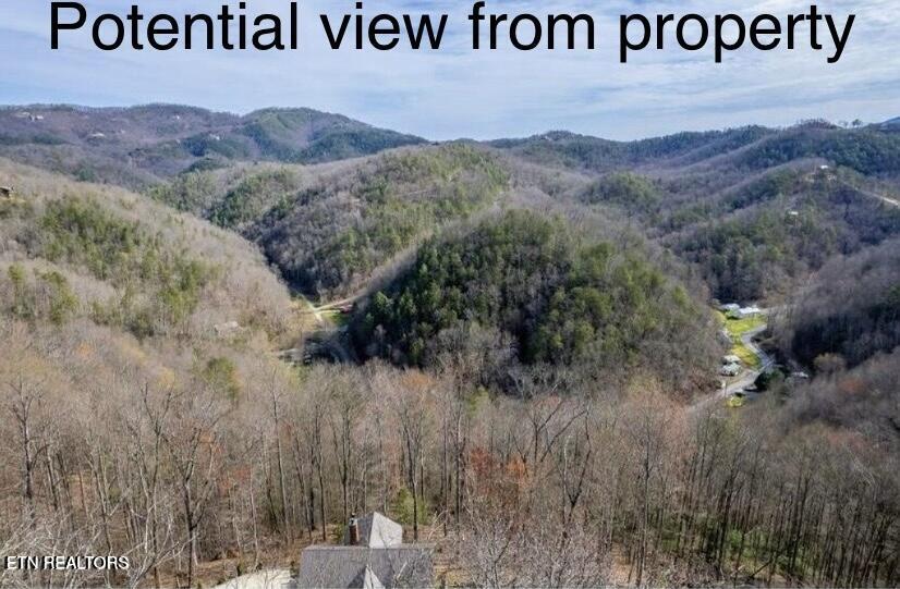 Lot #6 Deep Spring Lane Property Photo 3