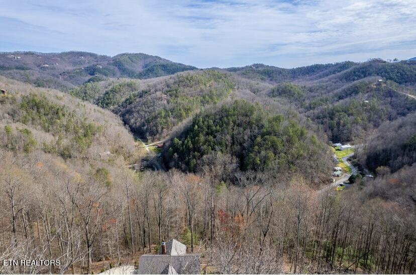 Lot #6 Deep Spring Lane Property Photo 10