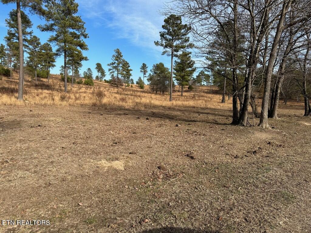 000 Bowen Lane Property Photo