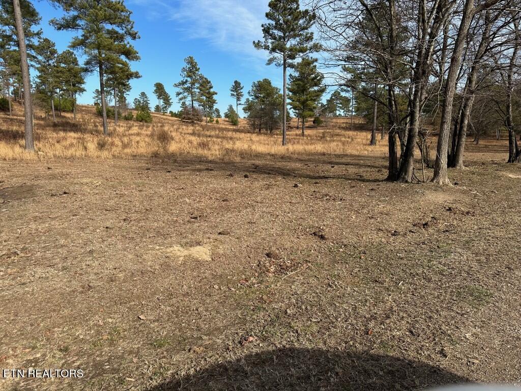 000 Bowen Lane Property Photo 2