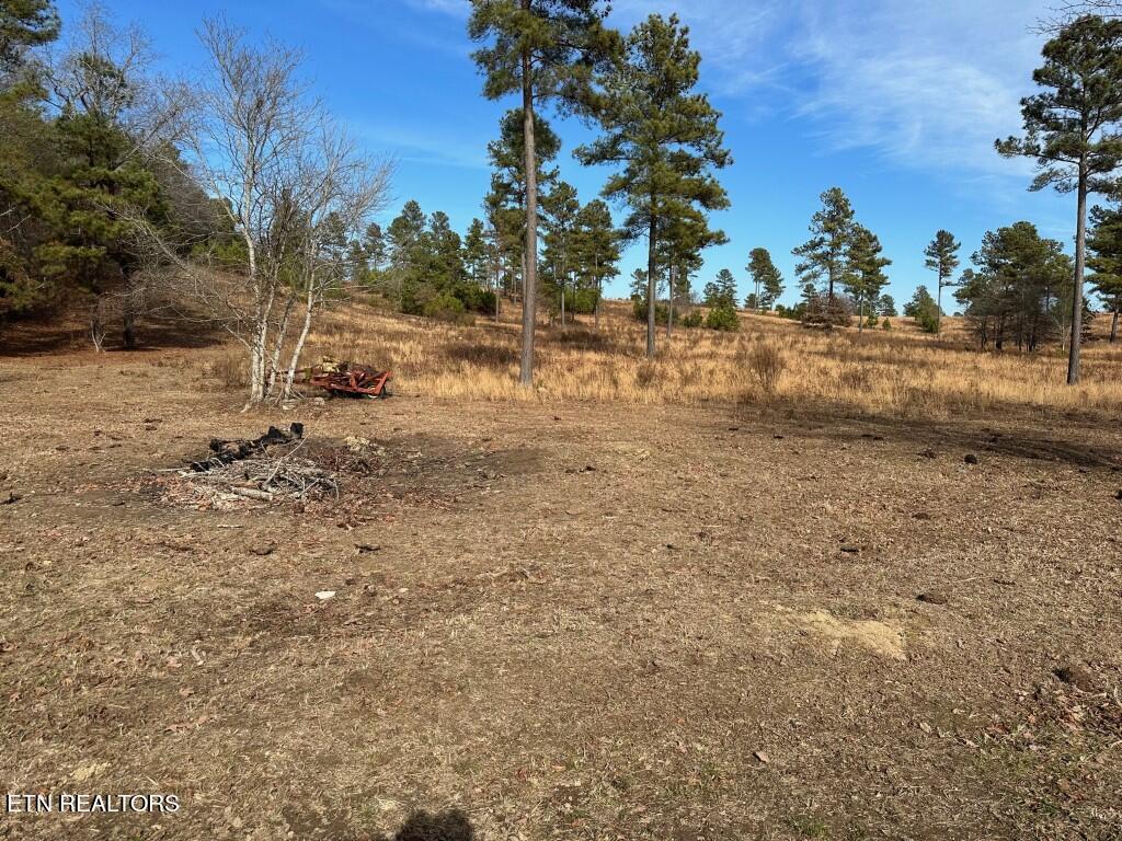000 Bowen Lane Property Photo 3