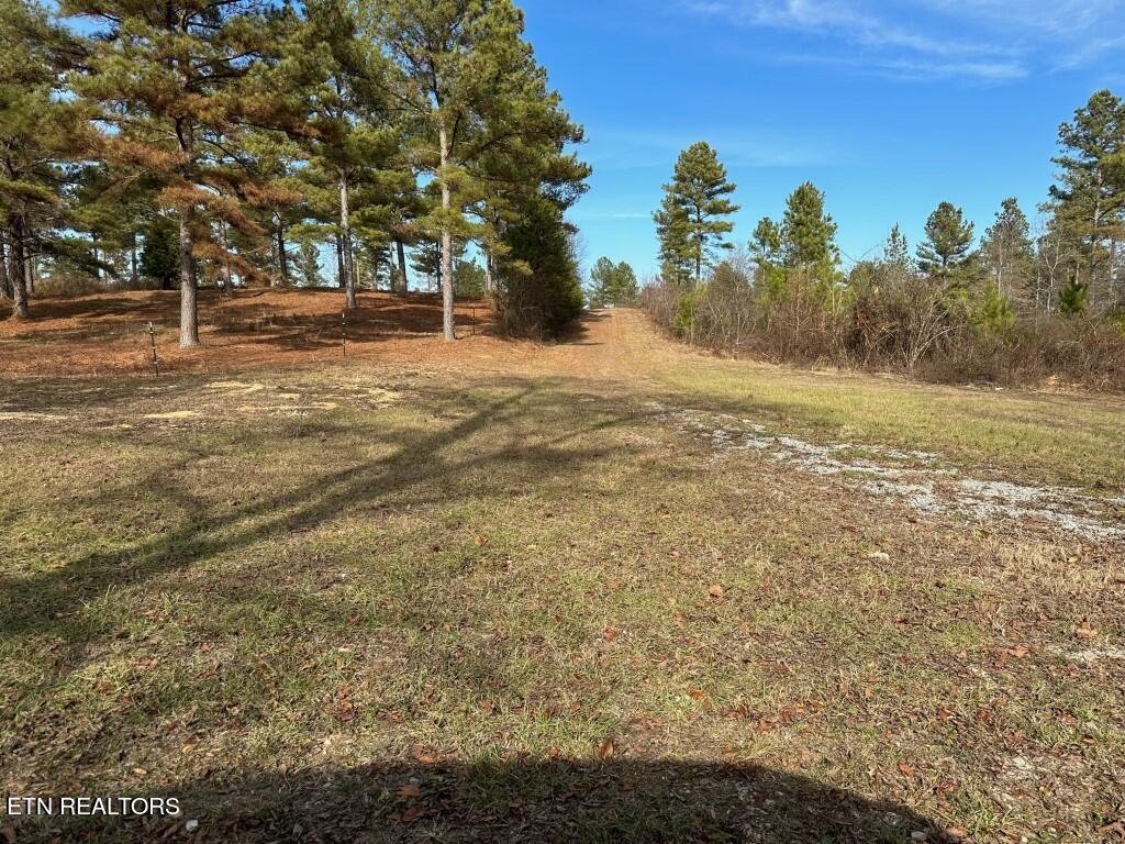 000 Bowen Lane Property Photo 7