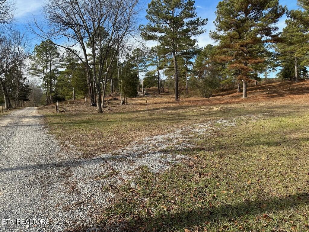 000 Bowen Lane Property Photo 8