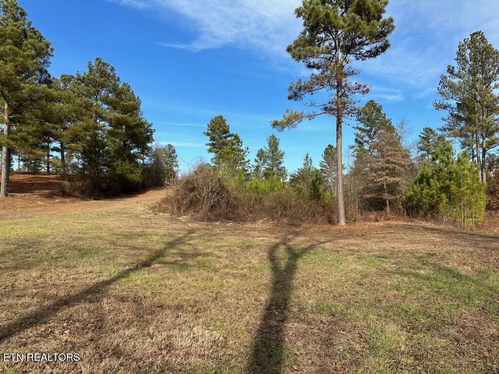 000 Bowen Lane Property Photo 10