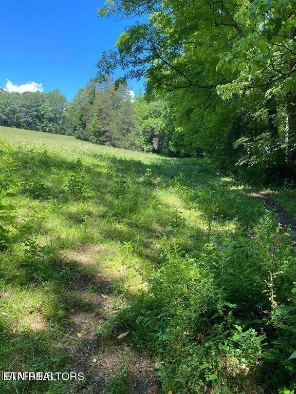Lot 4 Chapman Rd Property Photo