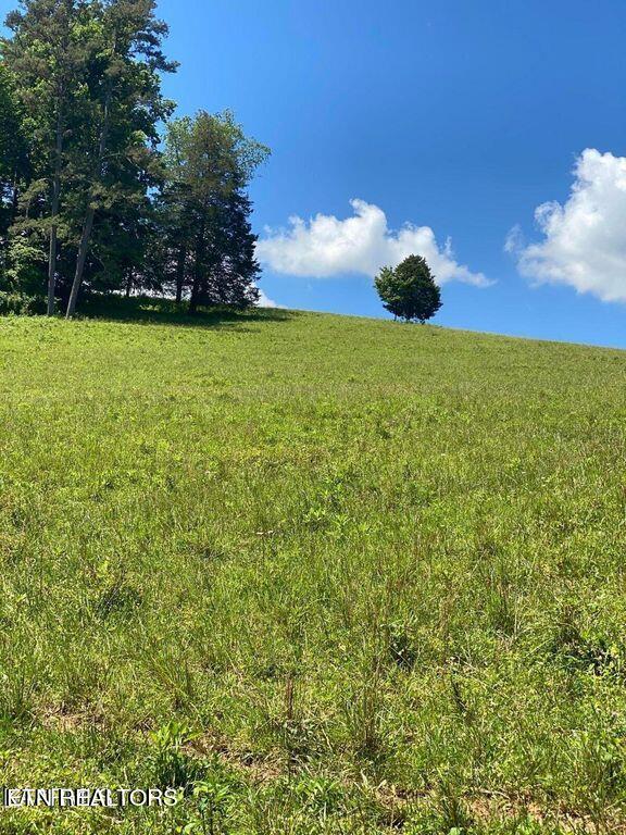 Lot 7 Chapman Rd Property Photo