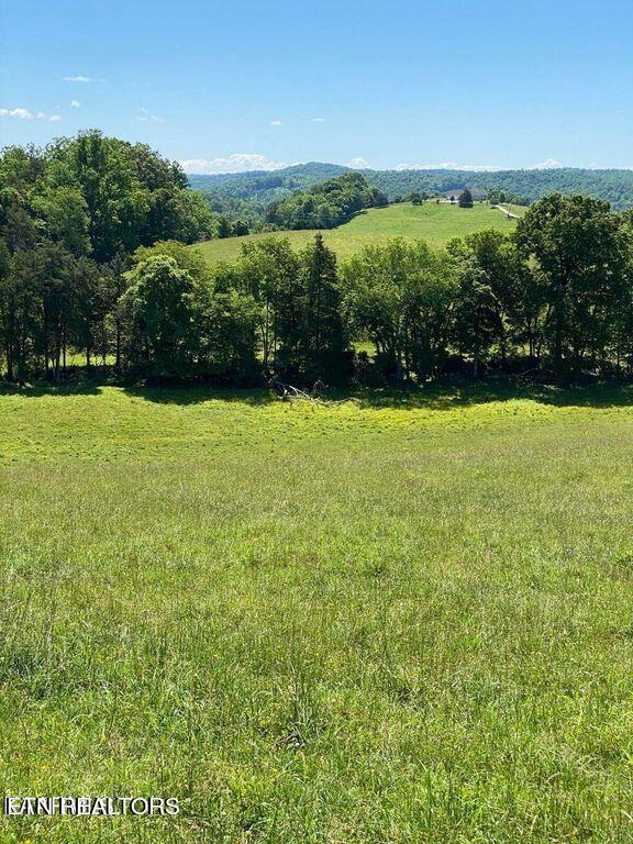 Lot10 Chapman Rd Property Photo 3
