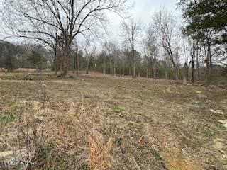 1120 8th Street Property Photo