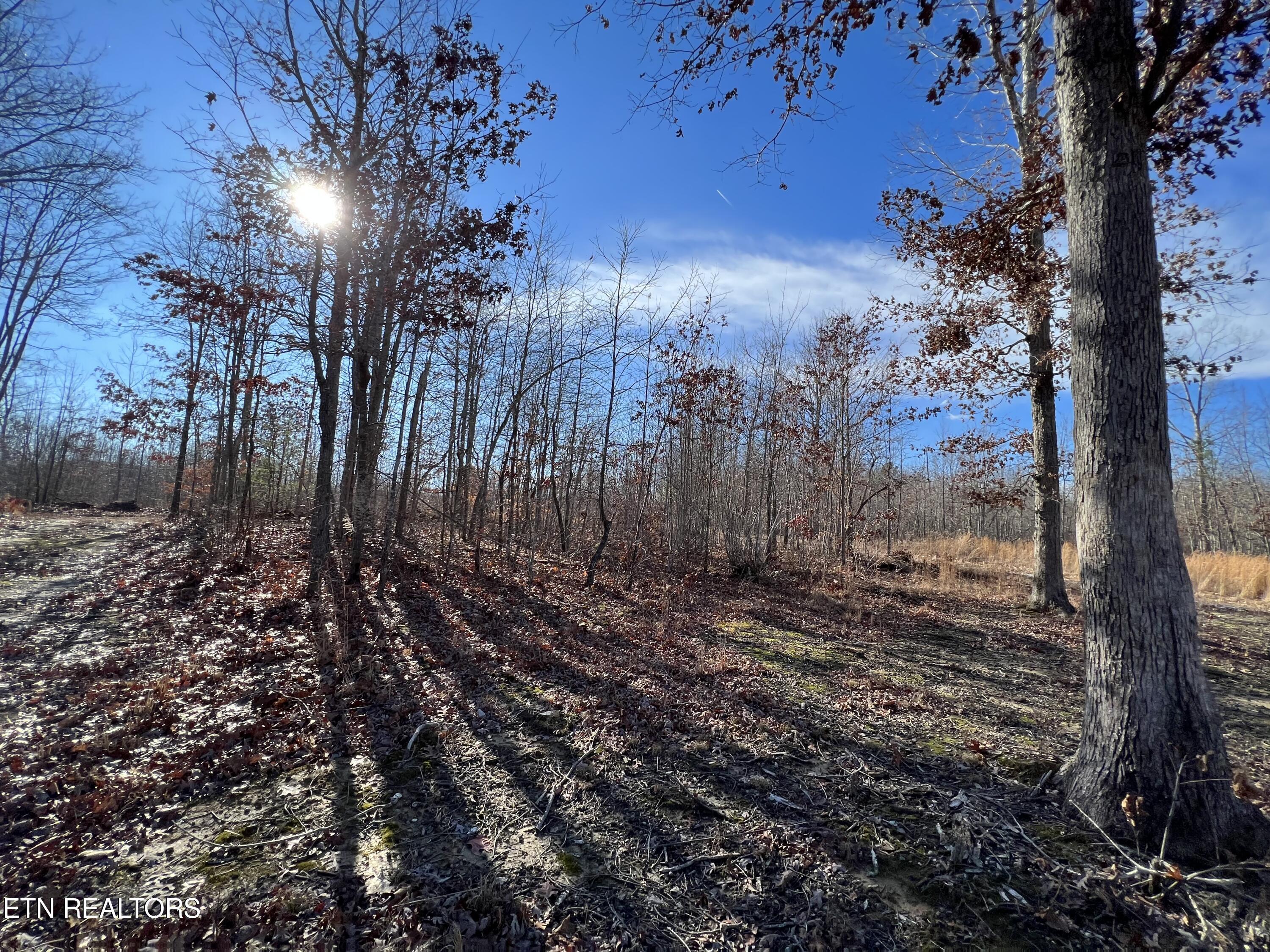 Lot J Mccartt Ridge Lane Property Photo 1