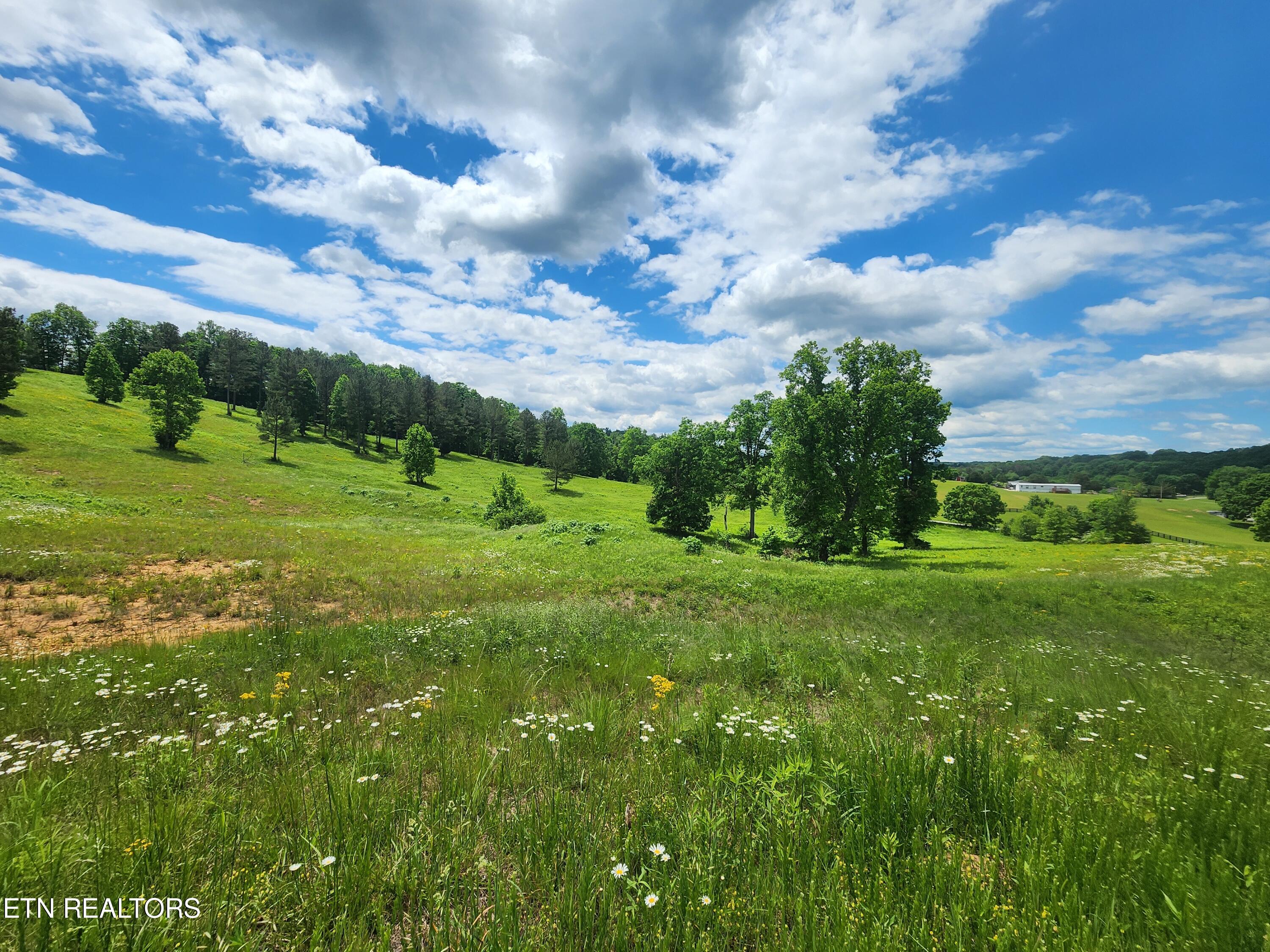 420 Wood Duck Lane Property Photo