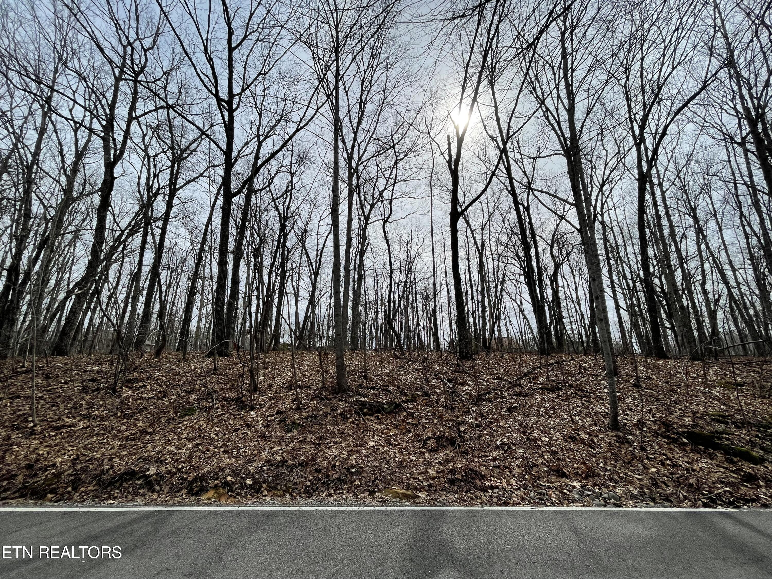 179 Anglewood Drive Property Photo 1