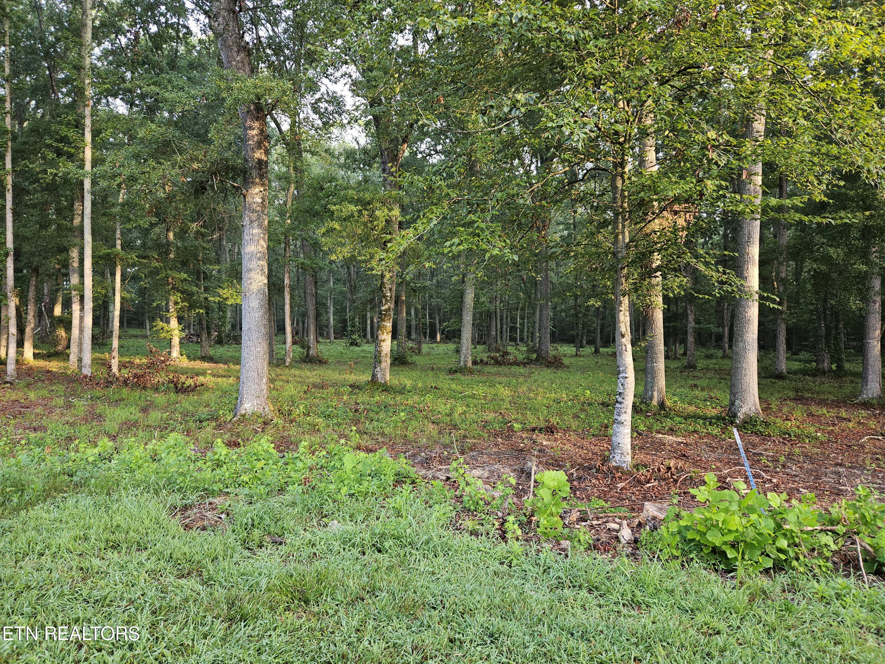 Lot 5 Deerwood Drive Property Photo