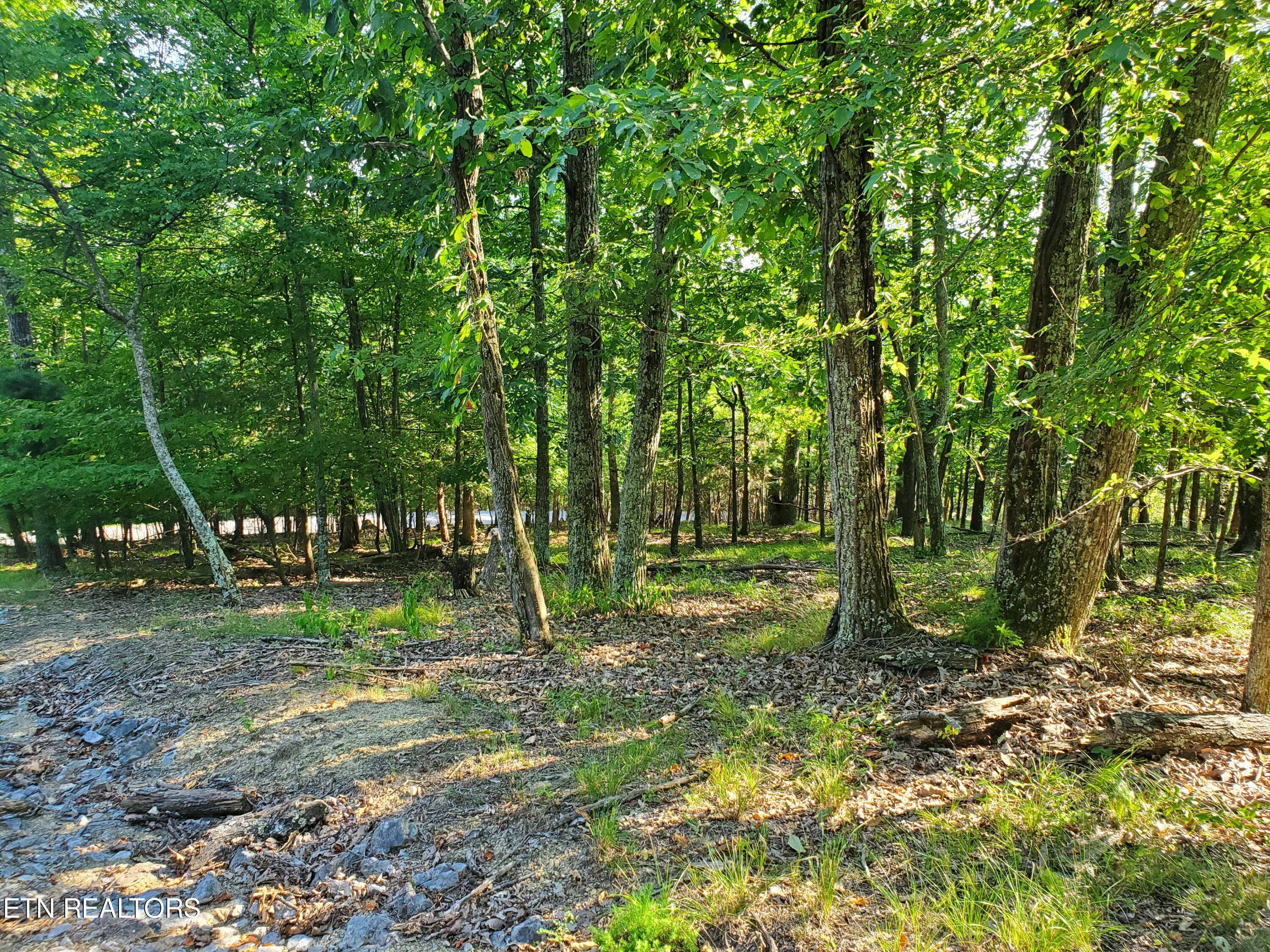 1324 Muskogee Drive Property Photo