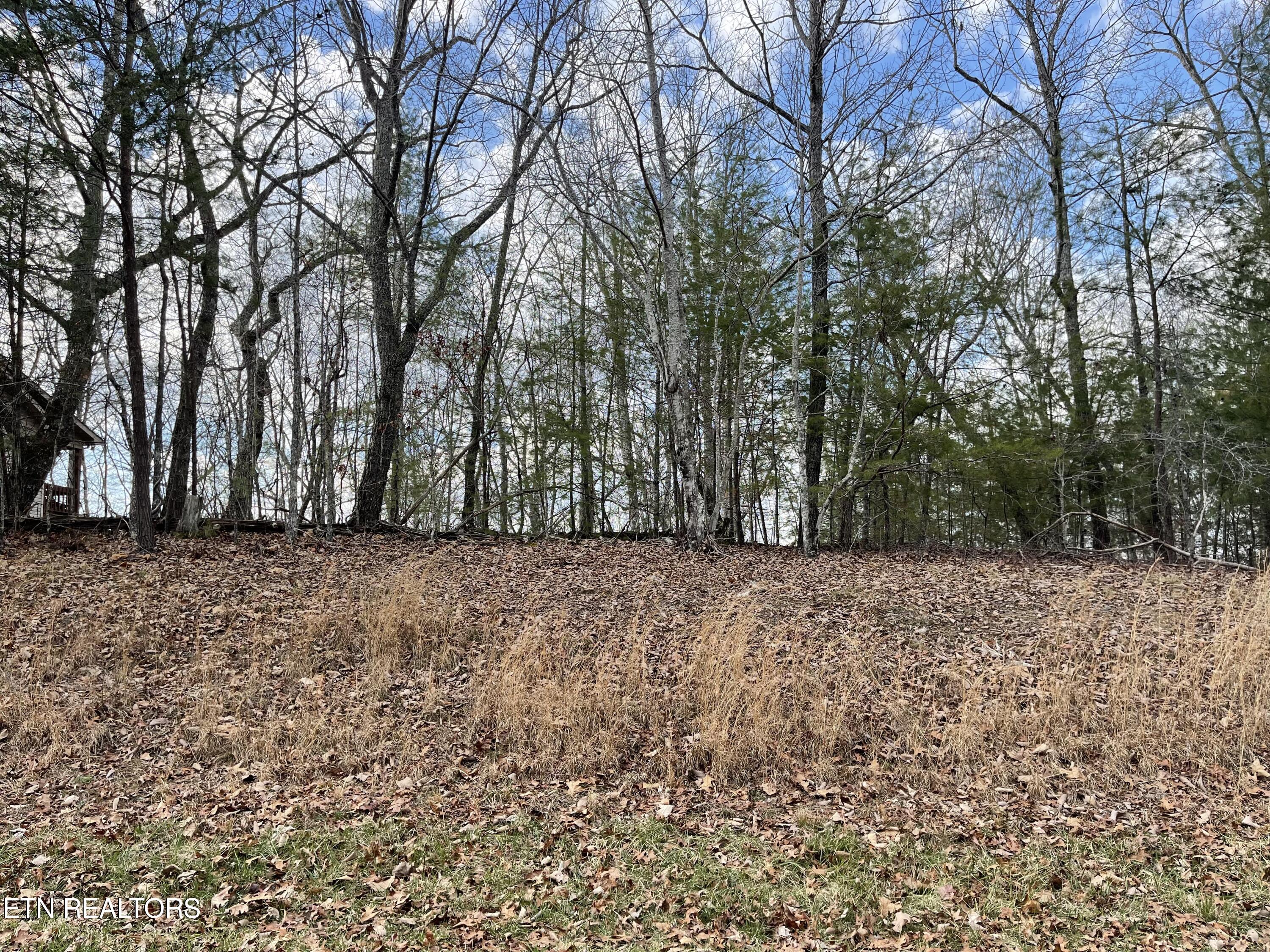 29 Ivydale Lane Property Photo