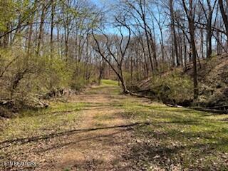 Church Drive Property Photo
