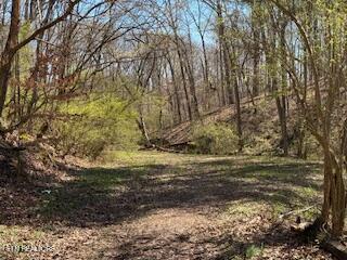 Church Drive Property Photo 5
