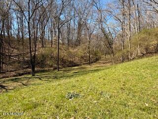 Church Drive Property Photo 8