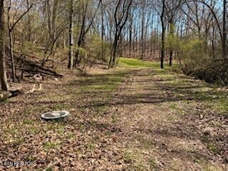 Church Drive Property Photo 9