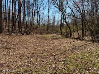 Church Drive Property Photo 10
