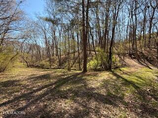 Church Drive Property Photo 11