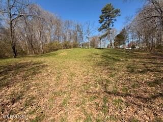 Church Drive Property Photo 12
