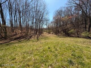 Church Drive Property Photo 13