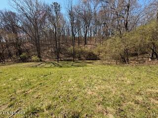 Church Drive Property Photo 14