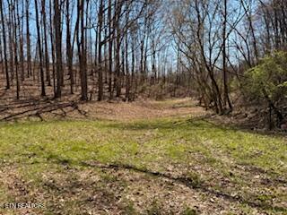 Church Drive Property Photo 15