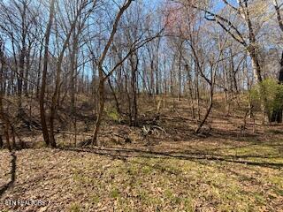 Church Drive Property Photo 17